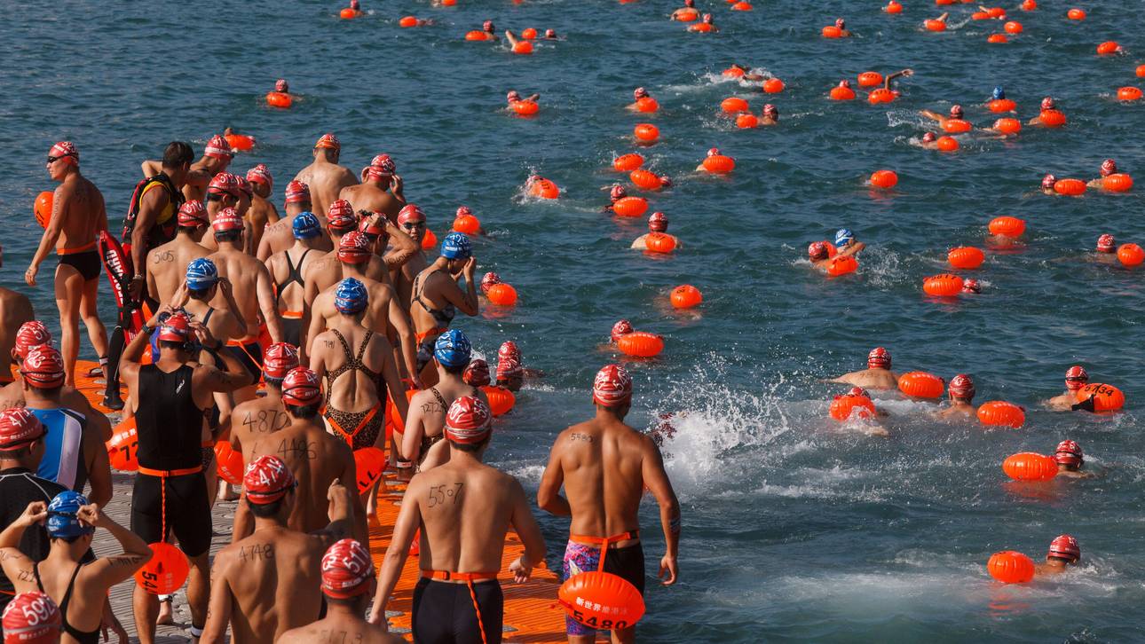 Schwimmer stirbt bei Hafenrennen