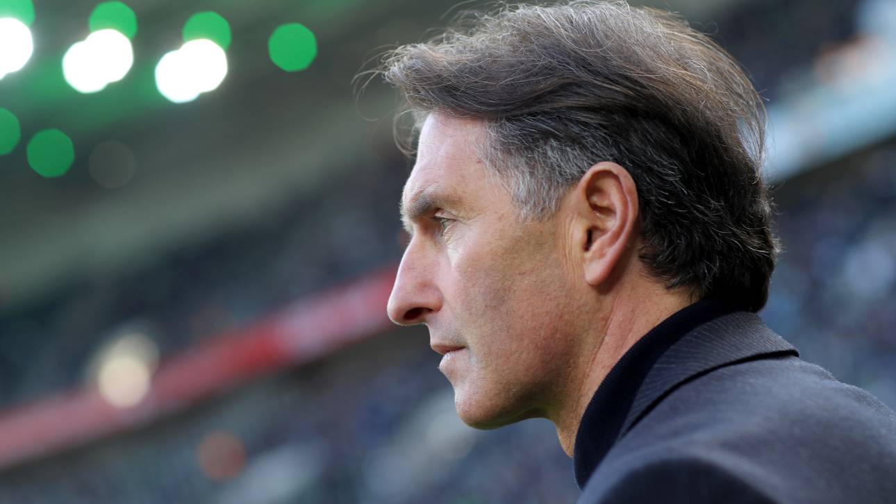 Labbadia stärkt Löw den Rücken