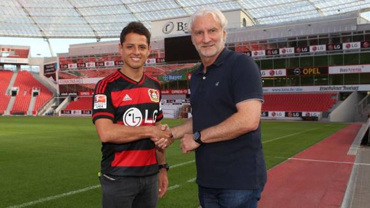 Perfekt: Chicharito nach Leverkusen