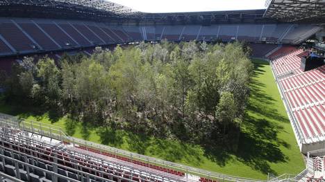 Das Stadion in Klagenfurt ist nun voller Bäume