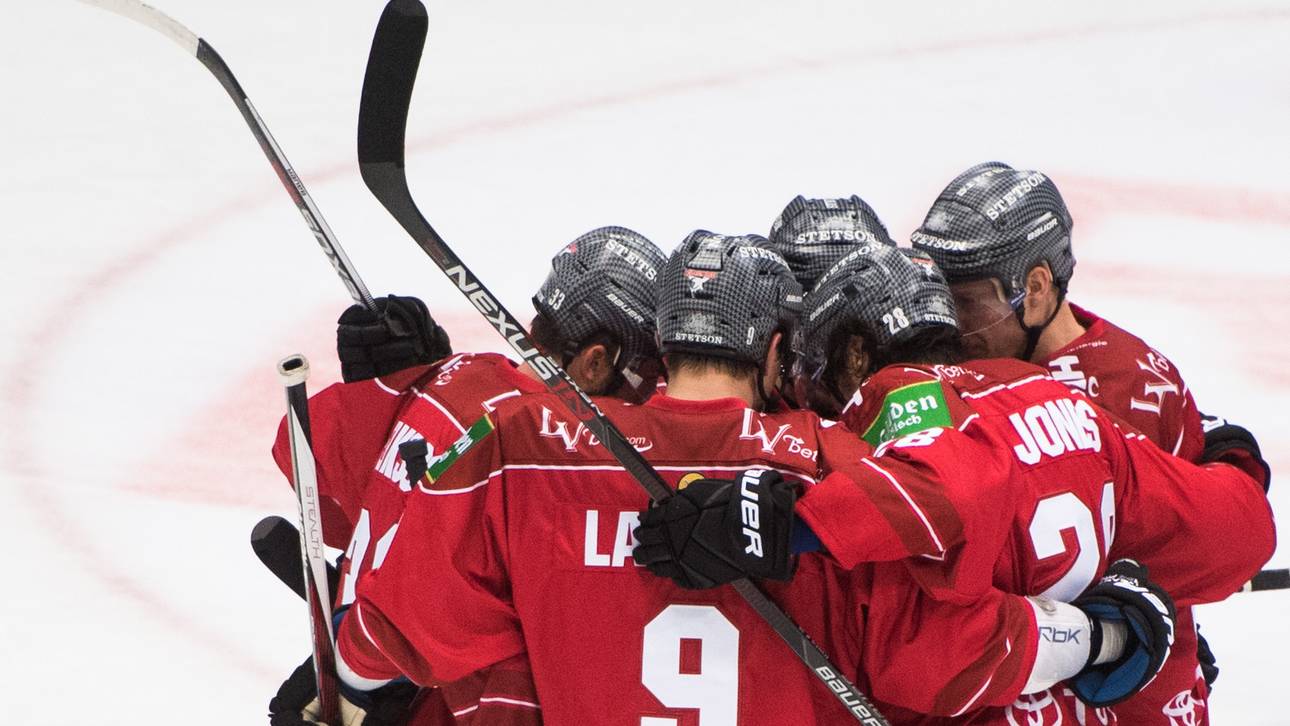 Haie verlängern mit Sportdirektor