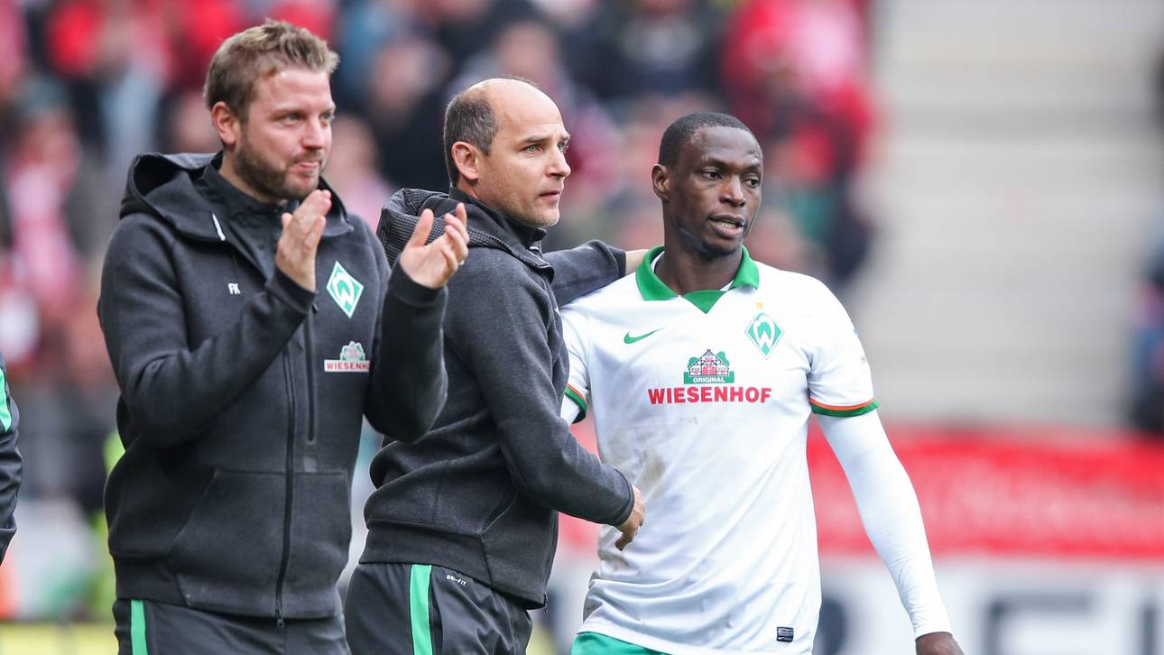 Skripnik hofft weiter auf Ujah