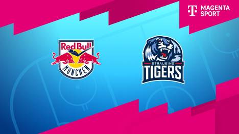 EHC Red Bull München - Straubing Tigers: Tore und Highlights | PENNY DEL