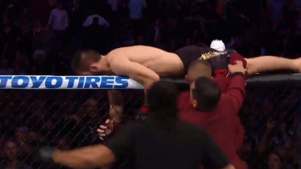 Unterdessen brennen dem Sieger ein wenig unvermittelt die Sicherungen durch. Der Russe klettert über den Rand des Oktagons und stürzt sich ins Publikum bzw. ins Lager McGregors