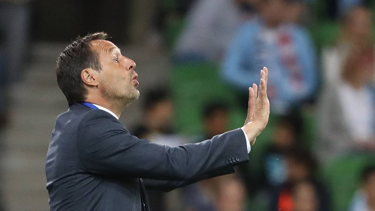 Niederländer neuer Griechen-Coach