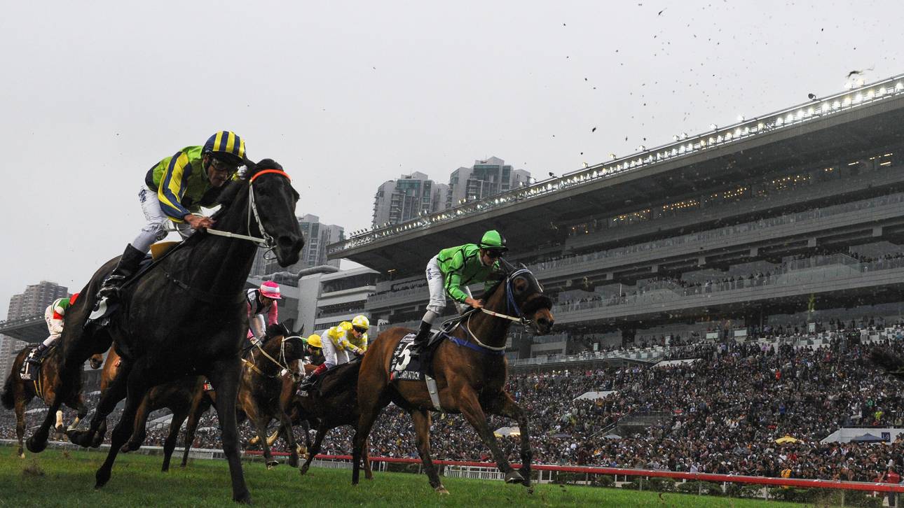 Galopp: Red Dubawi geht leer aus