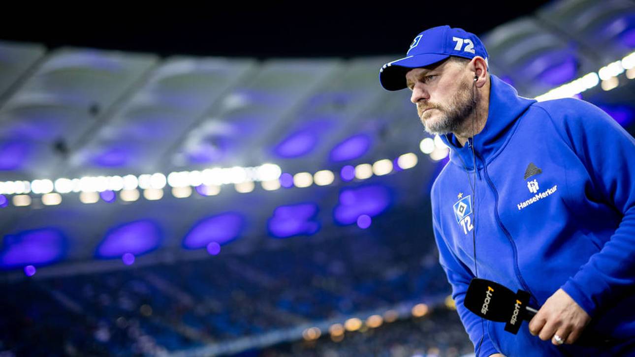 HSV patzt auch gegen Schalke