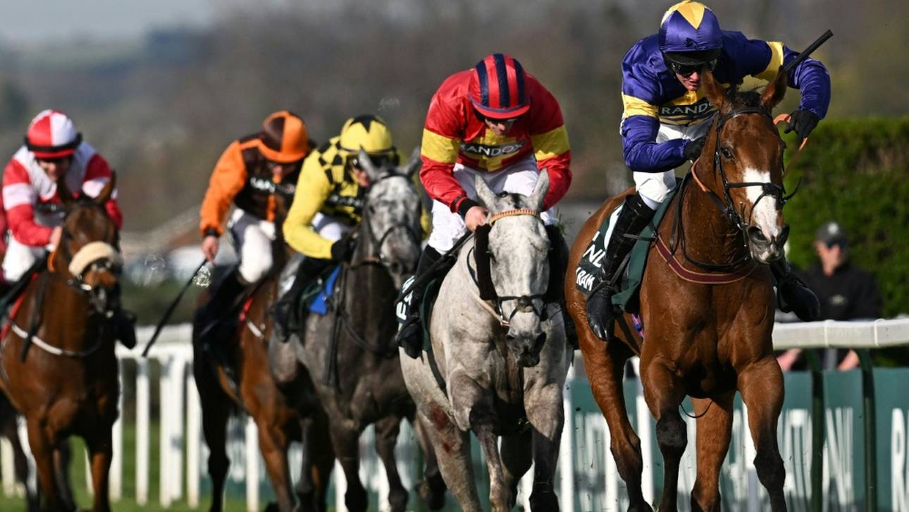 118 Festnahmen: Proteste beim Grand National in England