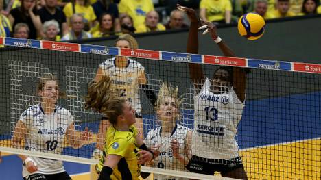 Wieder Meister: Stuttgarts Volleyballerinnen (in weiß)