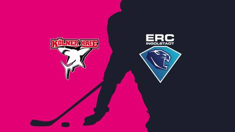 Kölner Haie - ERC Ingolstadt: Tore und Highlights | PENNY DEL