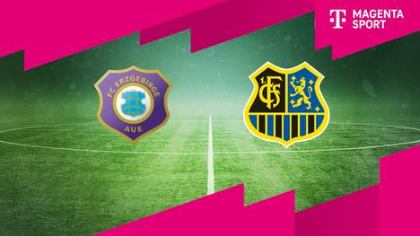 Erzgebirge Aue - 1. FC Saarbrücken: Tore und Highlights | 3. Liga