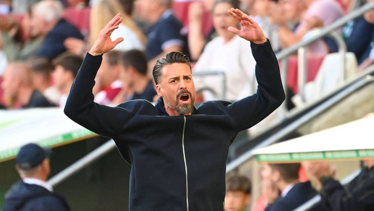 Lobeshymne auf Wagner