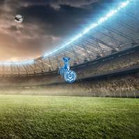 3. Liga: FC Erzgebirge Aue – MSV Duisburg (Samstag, 16:30 Uhr)