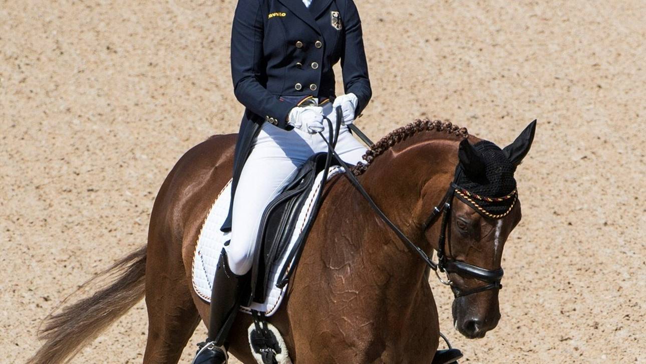 Vielseitigkeits-DM: Knüppel nach erstem Dressurtag vorn