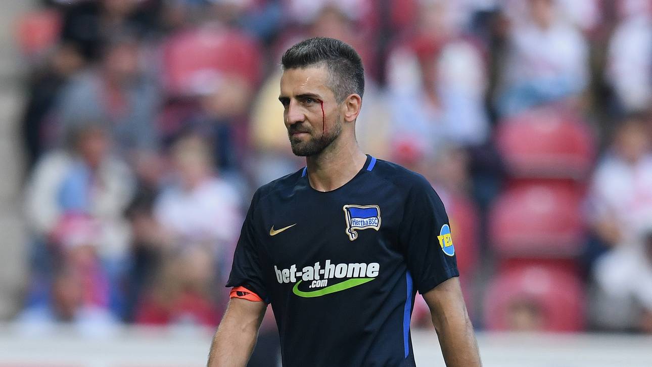 Lippenleserin enthüllt Ibisevic-Worte