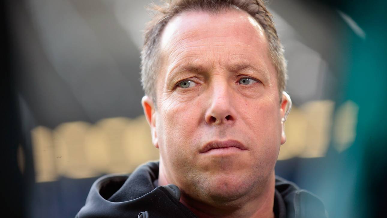 Rote Bullen zu Gast im Wildpark