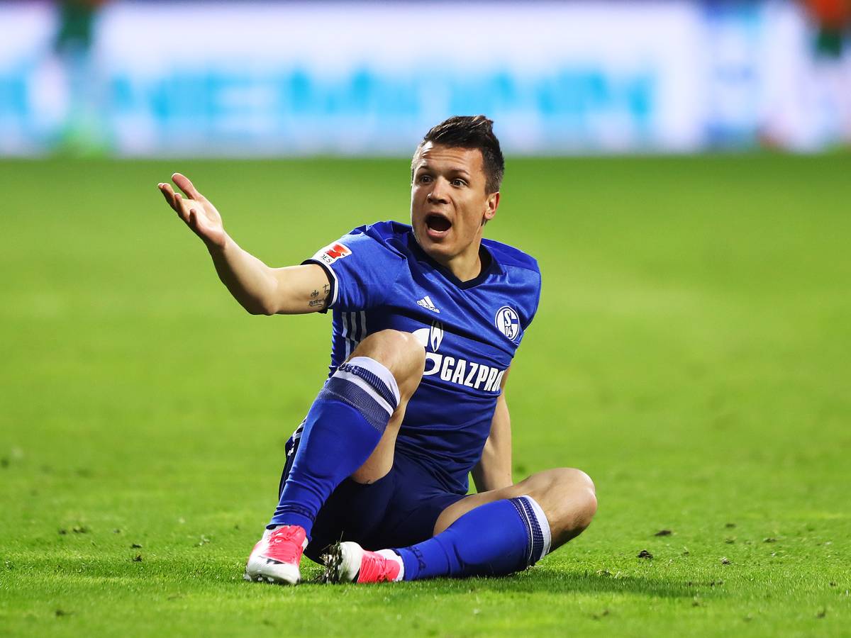 Джин белорусский коноплянка. Коноплянка шальке 04. Коноплянка 7 букв первая р. Коноплянка 7 букв первая р. Горная коноплянка.