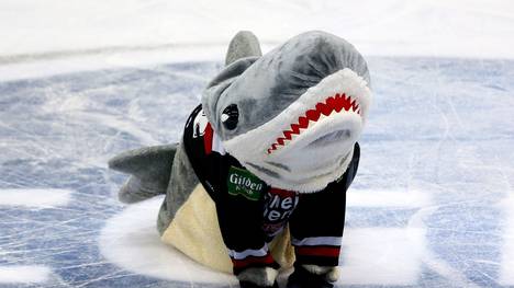 Maskottchen Sharky kann den Kölner Haie vorerst kein Glück bringen