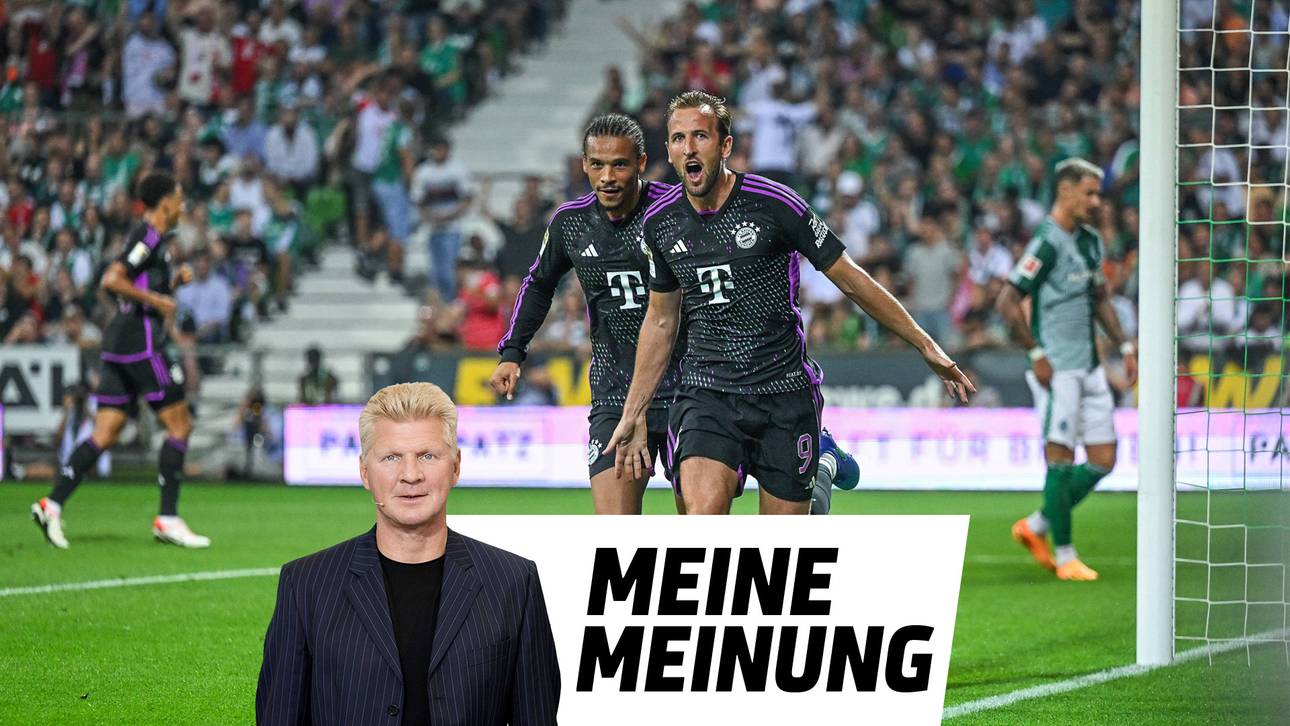 Effenberg: „Dafür steht Harry Kane“