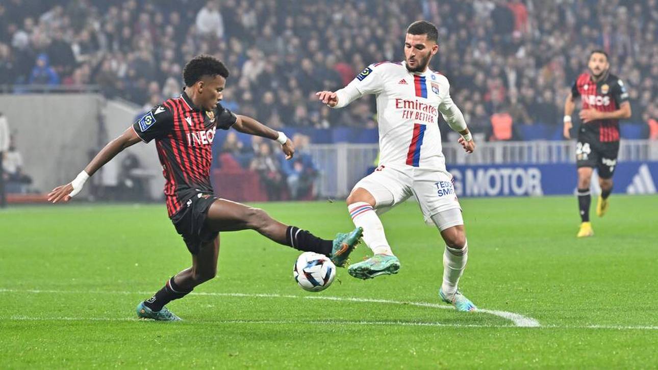 „Er riecht das Spiel“