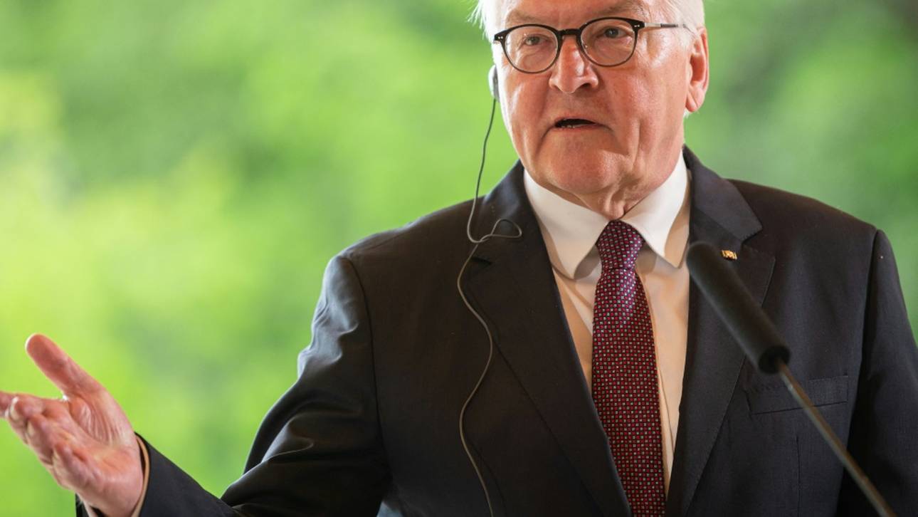 Steinmeier wünscht DFB-Elf viel Erfolg