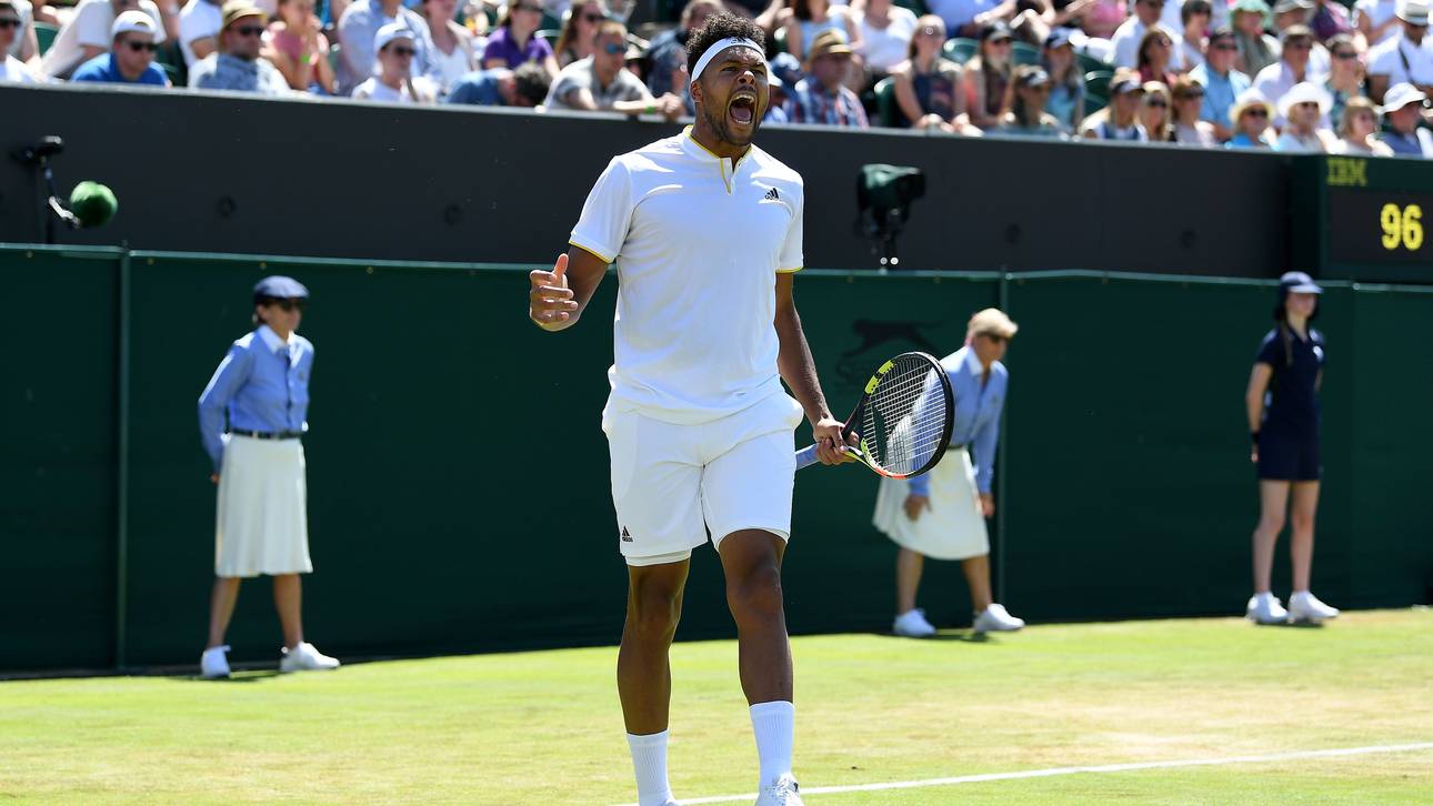 Ameisen-Plage in Wimbledon