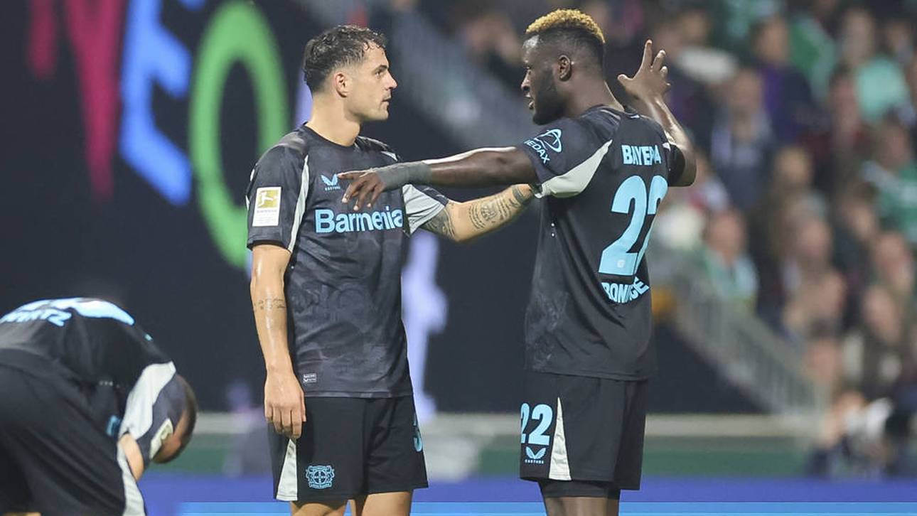 Bayers verzweifelte Spurensuche