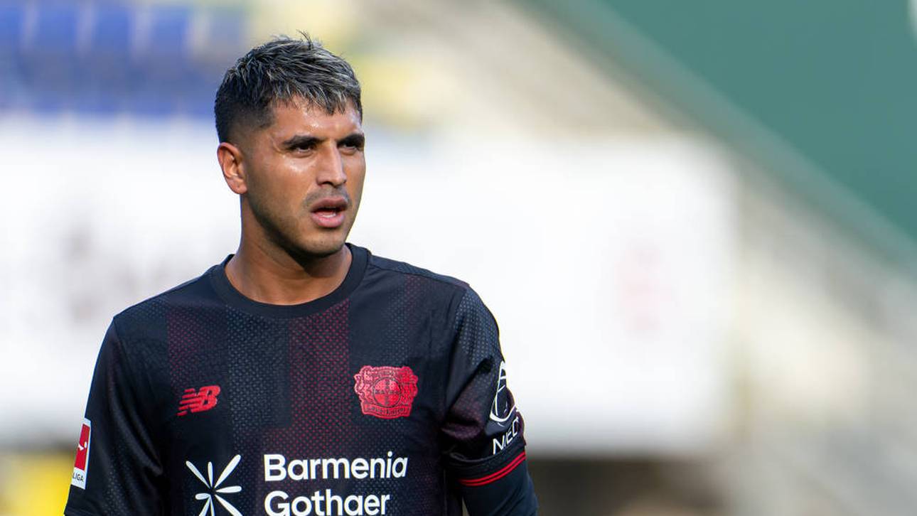 Palacios? Rolfes spricht Machtwort