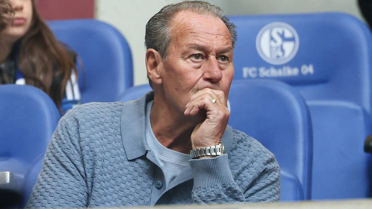 Stevens sieht Schalke noch nicht bundesligareif