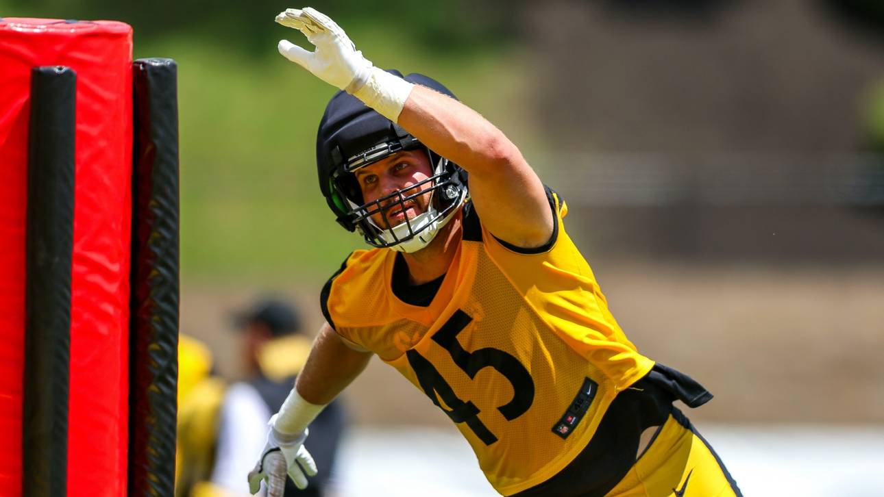 Fünf Deutsche zurück bei NFL-Teams
