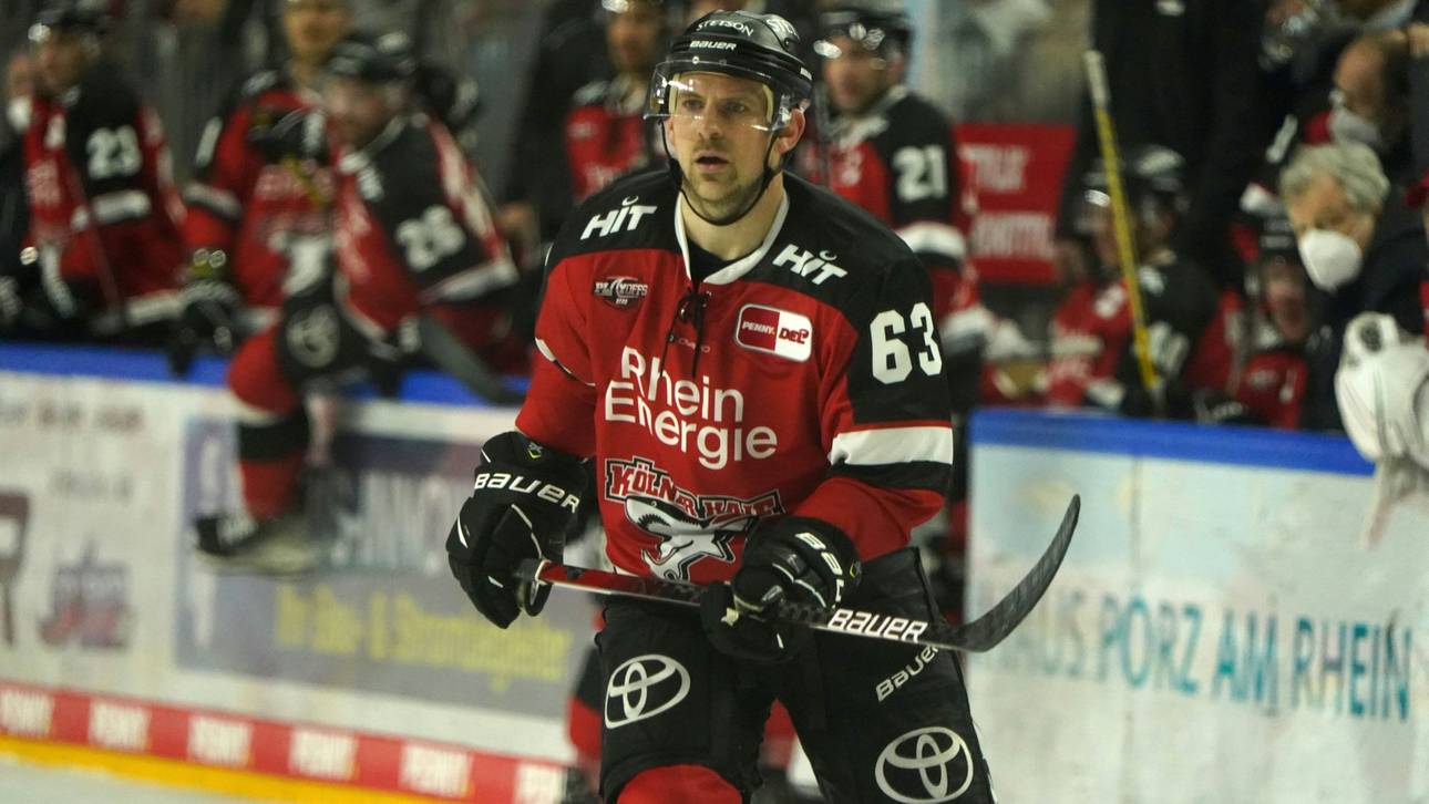 Haie holen Verteidiger aus den USA