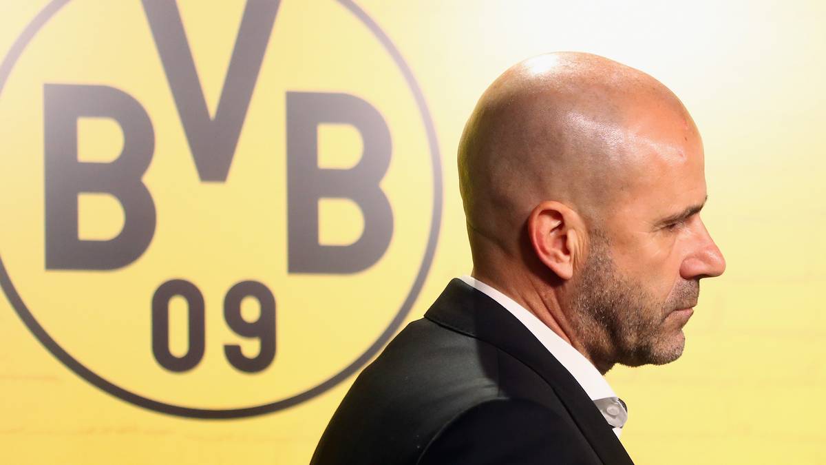 Peter Bosz (01.07.2017 bis 09.12.2017, 24 Spiele, Punkteschnitt 1,25)