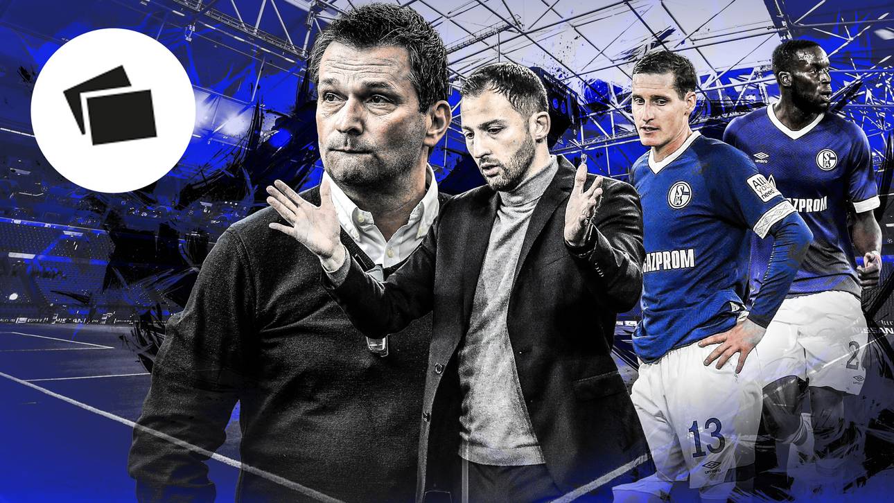 Die Gründe für Schalkes Absturz