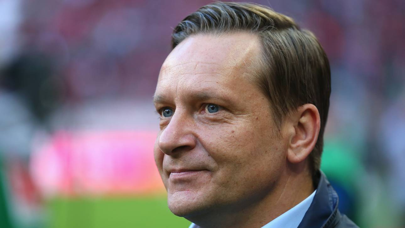 Heldt: „HSV hätte mich gereizt“