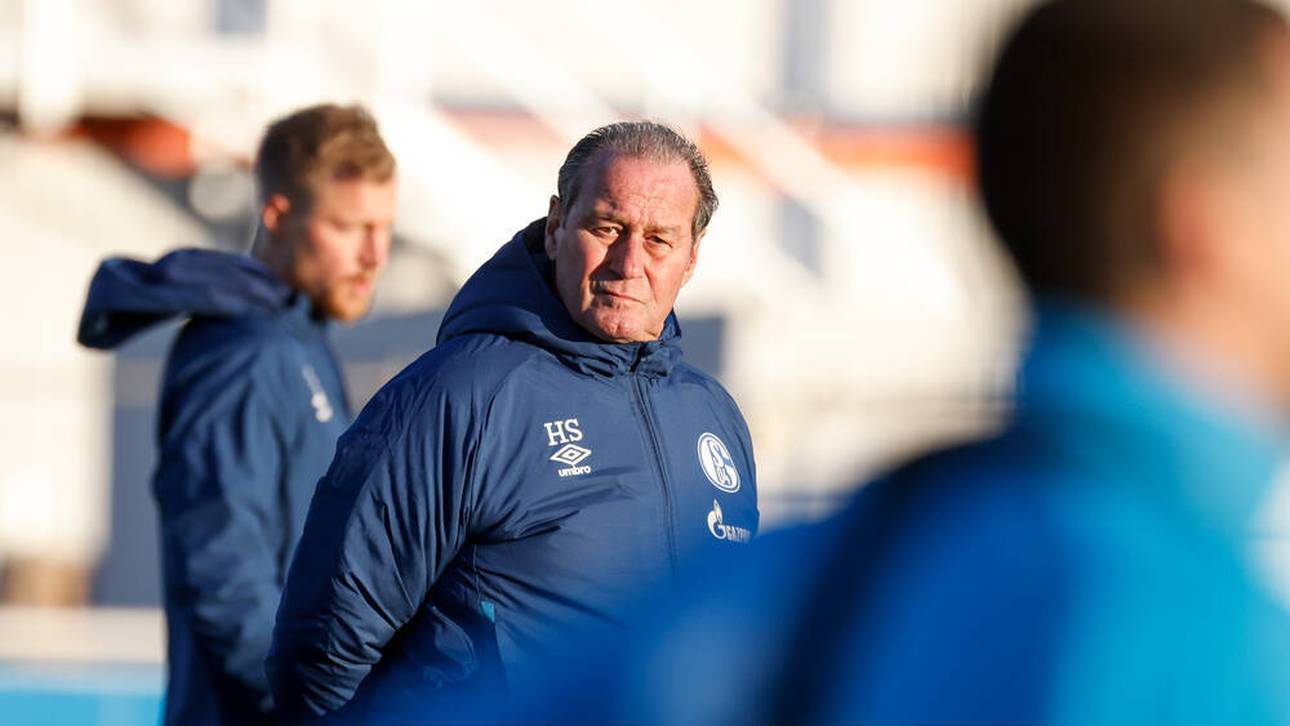 Stevens gibt Schalke-Amt auf