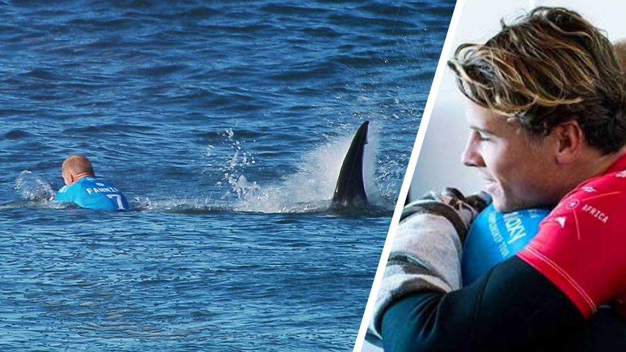 Der verhinderte Hai-Bekämpfer