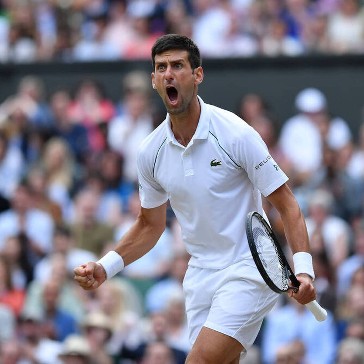 Wimbledon 2021 Finale Djokovic