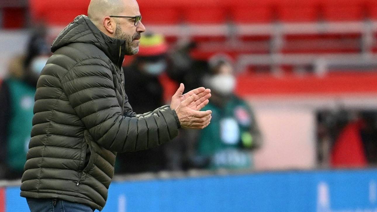 Bayer ohne Hradecky in Bern