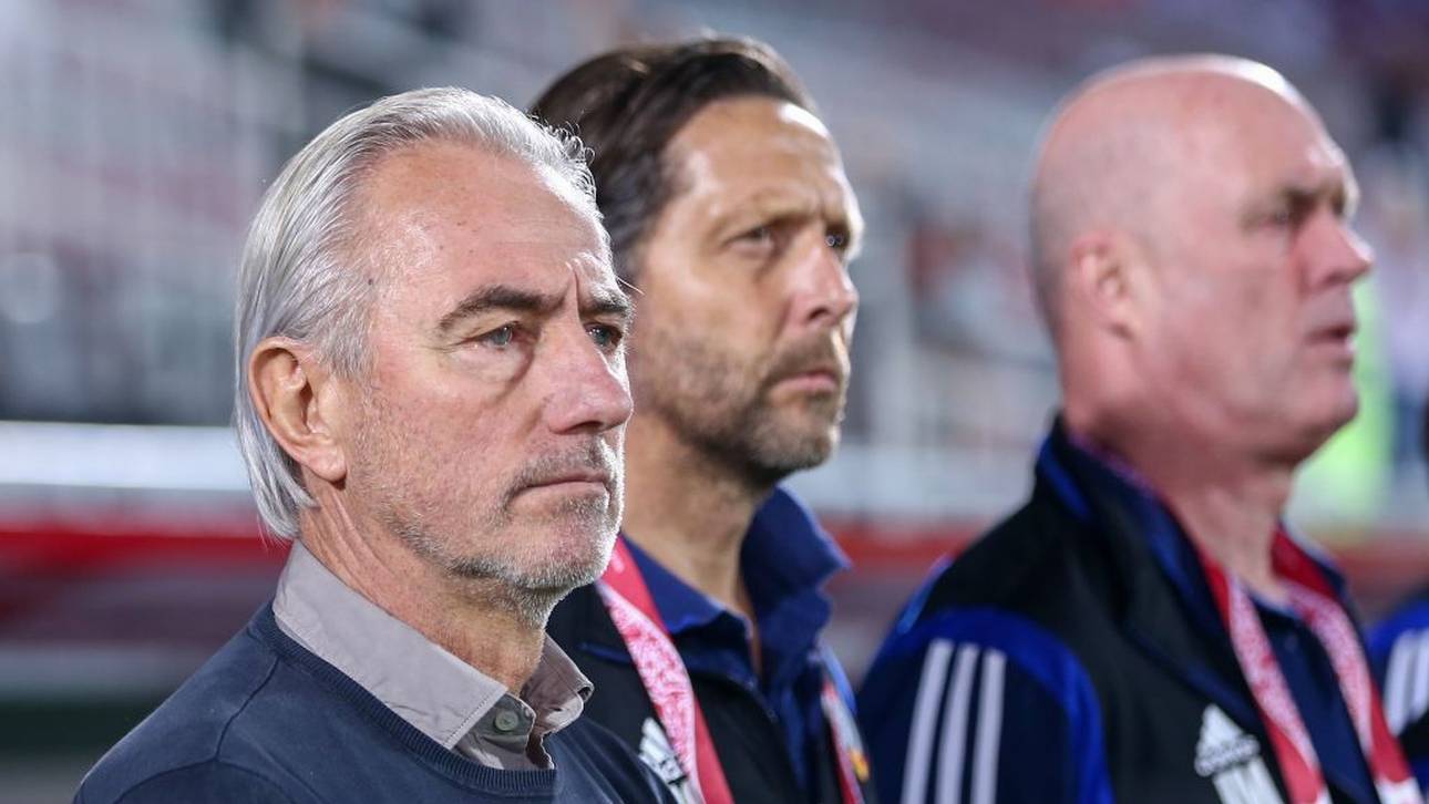 Van Marwijk gefeuert – Wilmots geht