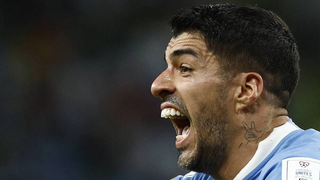 War es das für den „Beißer“?