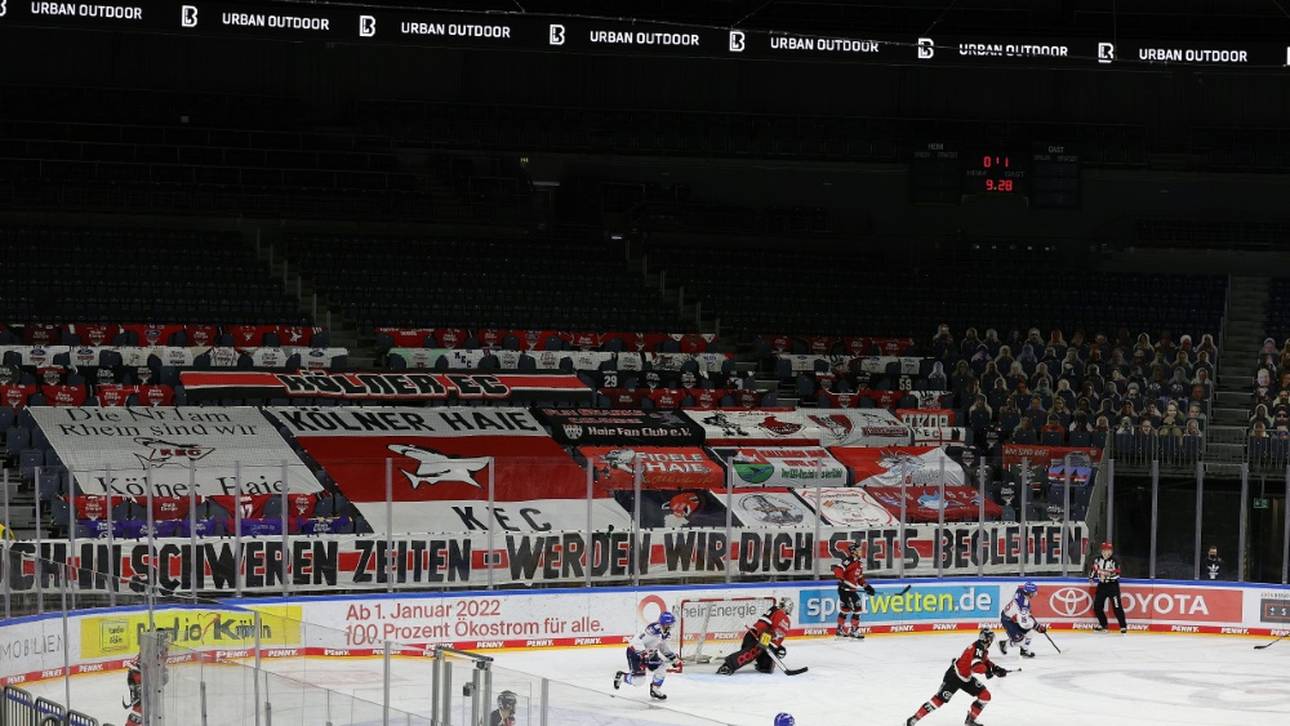 Haie holen Pinguins-Verteidiger