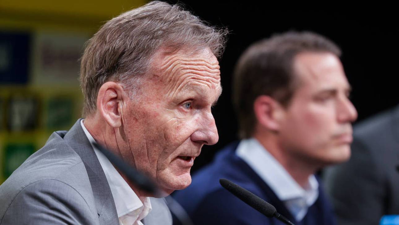 Kritik am BVB: Auch Habeck reagiert