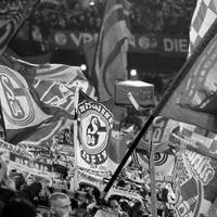 Beim Bundesliga-Spiel des FC Schalke gegen Bayer Leverkusen kommt es zu einem Todesfall auf der Tribüne. Ein Fan bricht zusammen und kann nicht mehr reanimiert werden. 