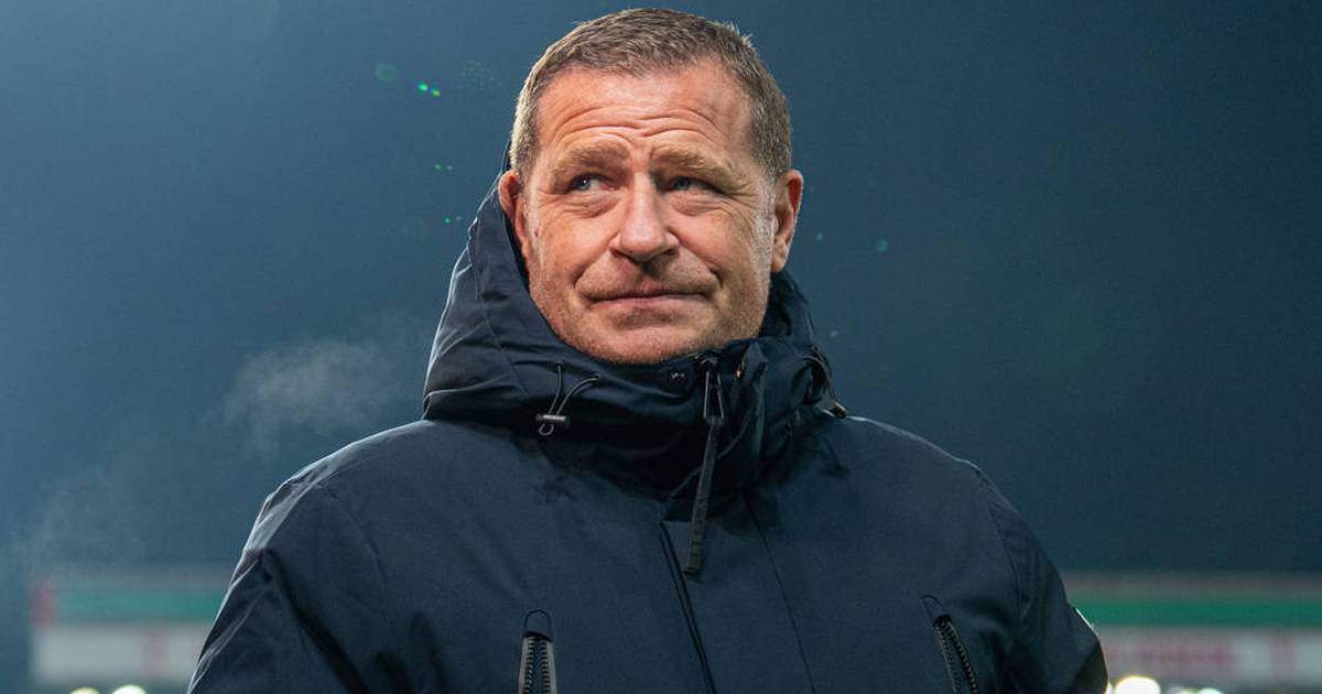 FC Bayern: Eberl hopes for a 