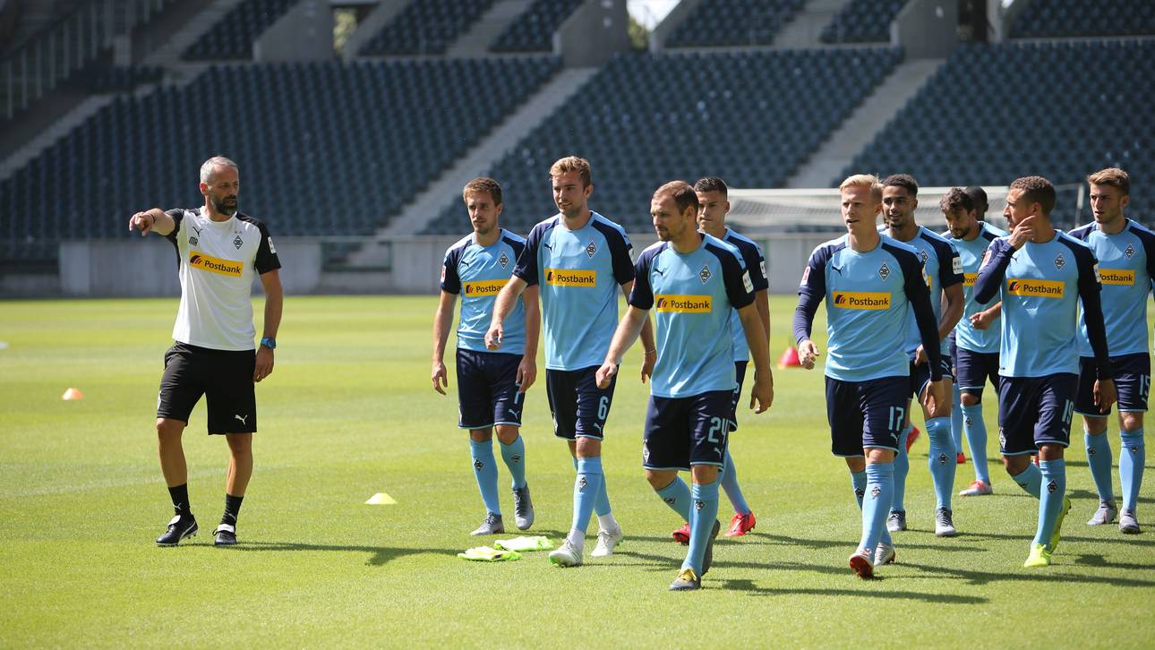 So will Rose Gladbach umbauen