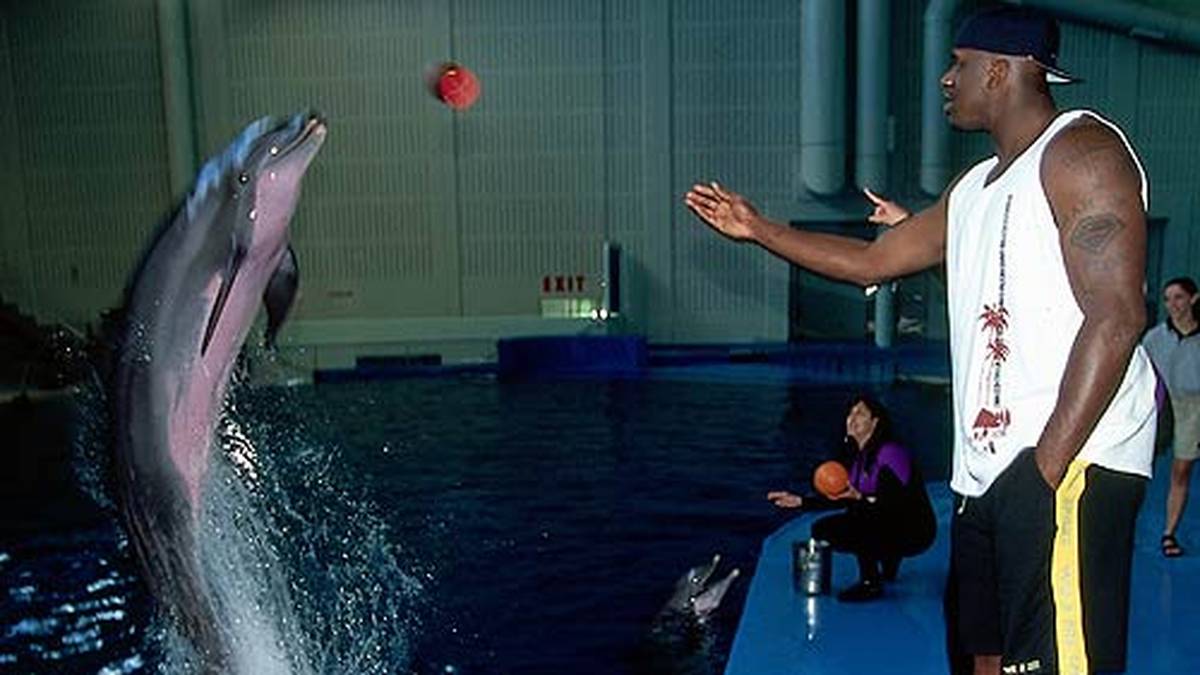 Zwischen den Finals-Spielen 2000 gegen die Pacers hat O'Neal sogar noch Zeit, mit Delfinen zu spielen. In den Playoffs dominiert er die europäischen Big Man Arvydas Sabonis (Blazers) und Rik Smits (Pacers), die nach dem jeweiligen Aus in ihre Heimatländer zurückgehen. O'Neal tauft sich daraufhin "The Big Deporter"