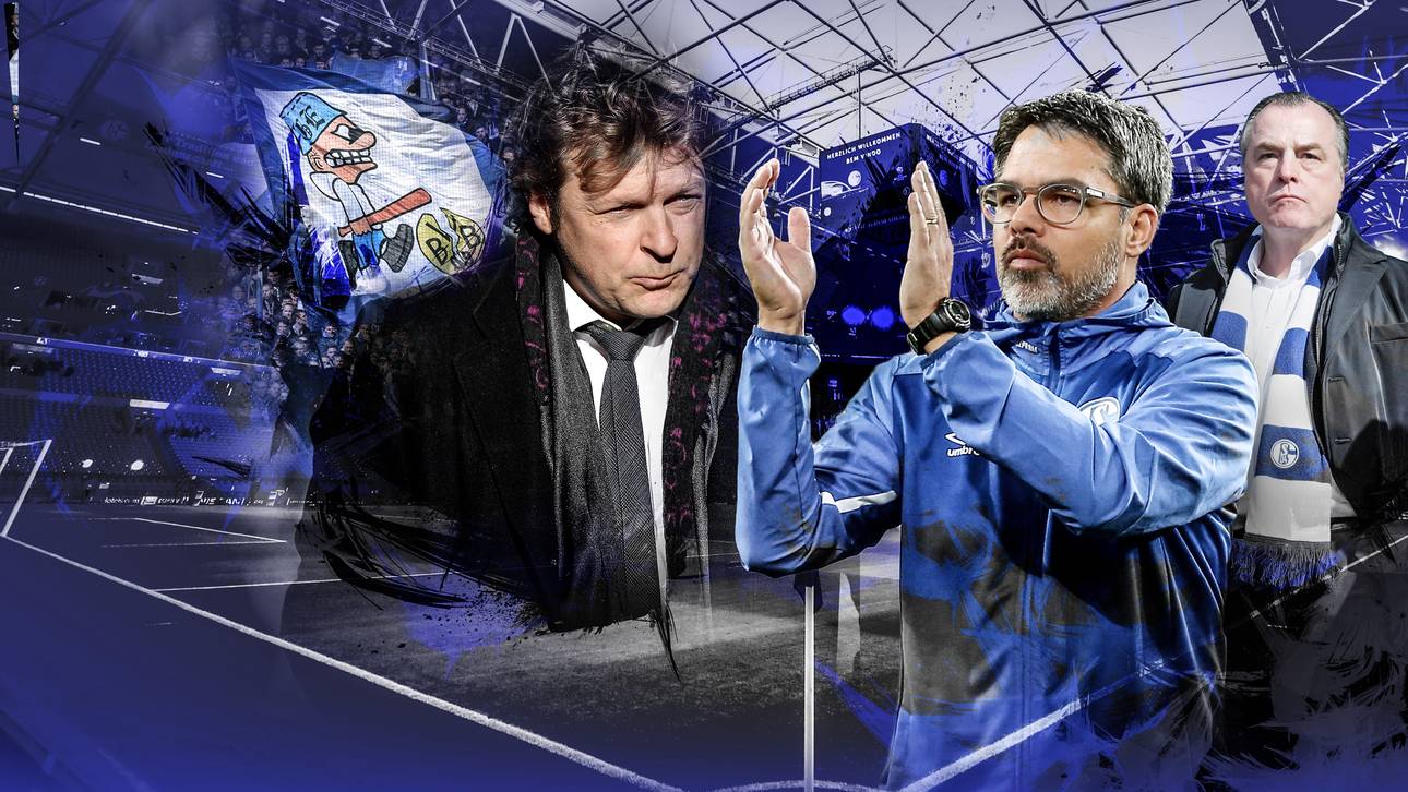 Mulder: „Schalke wirkt neu belebt“