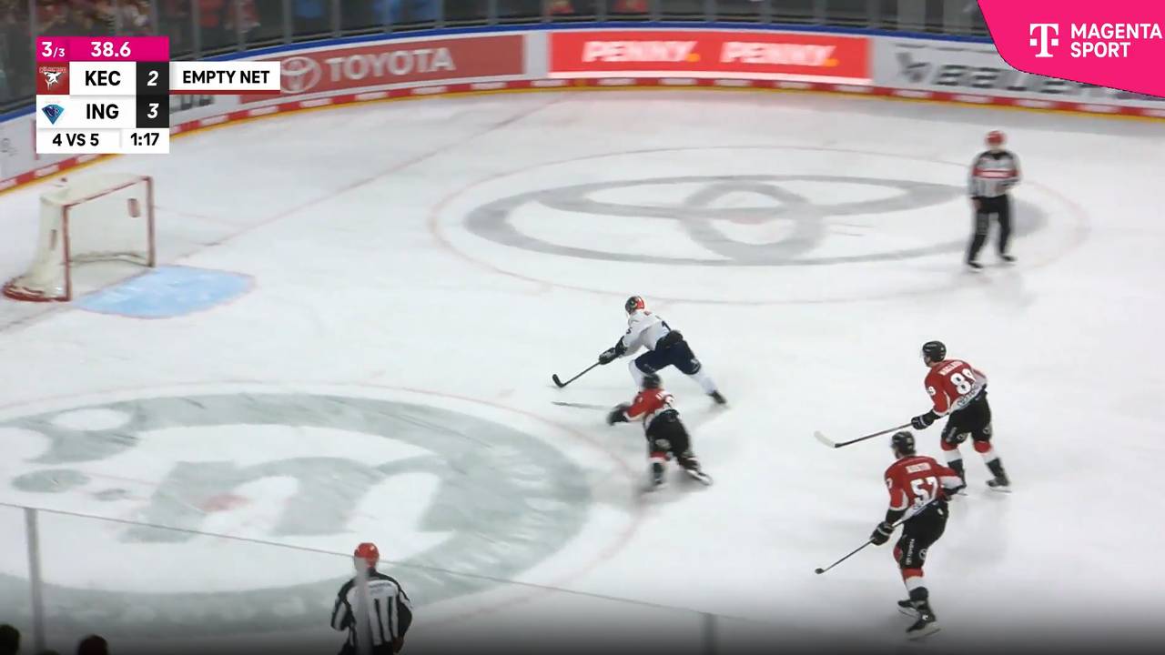 Erster Neuzugang: Haie holen Silberheld