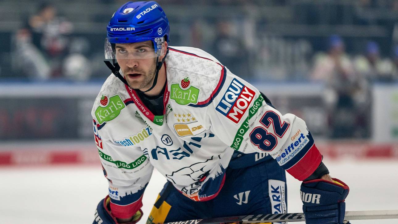 Haie bedienen sich in Berlin