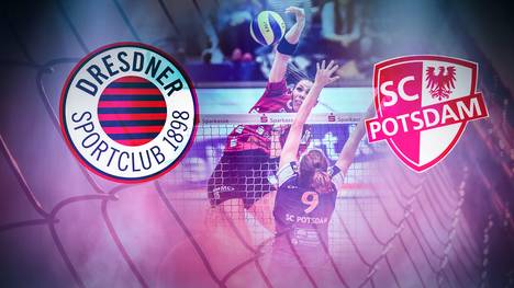 Volleyball-Bundesliga Frauen: Dresdner SC - SC Potsdam LIVE im TV